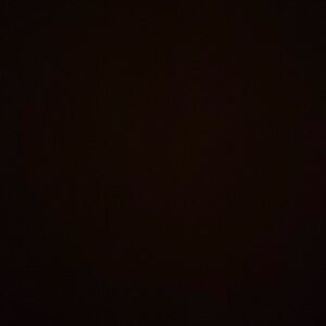 Meet your Posher, Jett